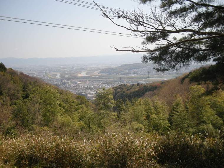 DSCN5036