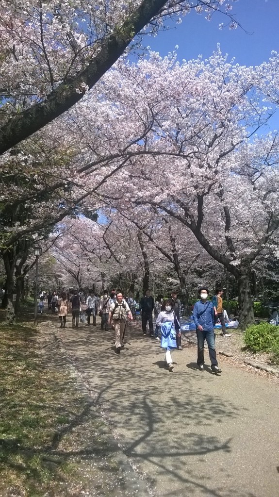 WP_20150404_010
