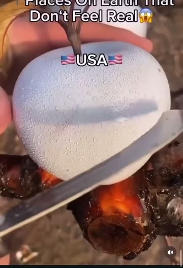 Ethan Yang🇻🇳🇻🇳🇻🇳🐶🐱