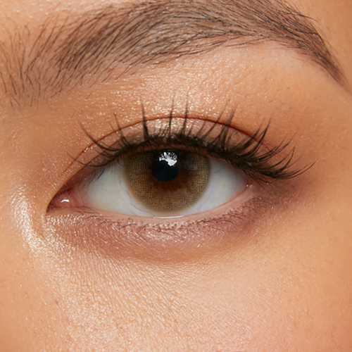 Toasted Honey (1-Day)