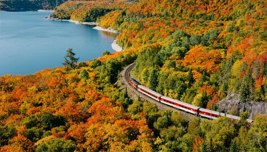 Aerial view of a train travelling past a lake and forest during the peak of fall colour.