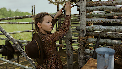 Young girl in a brown dress with a hat on her back stands by a rustic wooden fence outdoors, adjusting the wood. Green fields and sunlight are visible in the background, evoking a rural, historical farm setting.