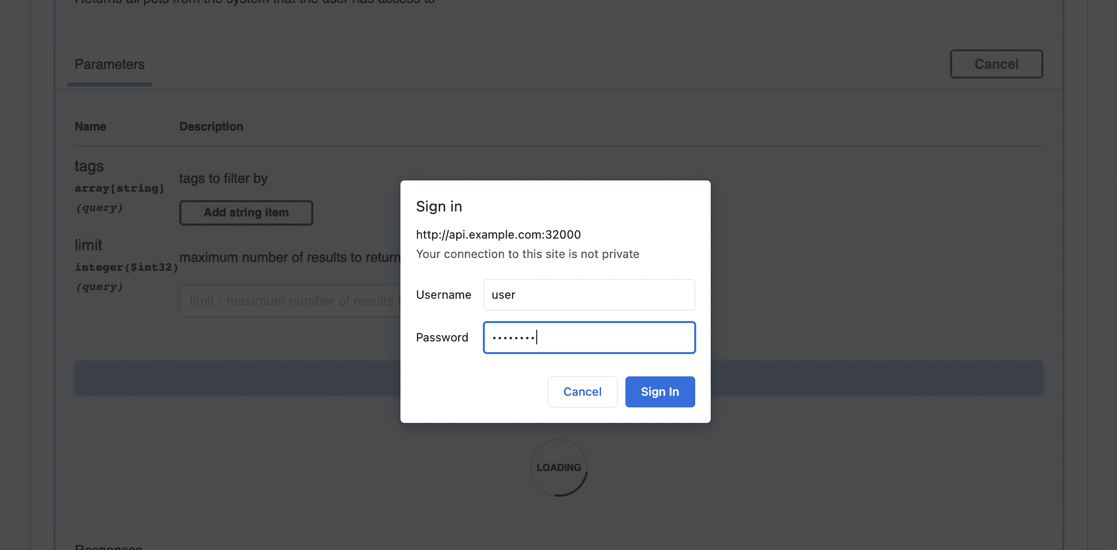 Basic Auth pop-up