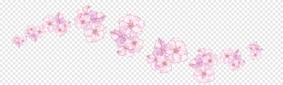 桜（リアル）スタンプ2