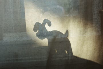 cartoon dog shadow on curtain in soft light