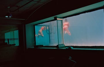 people underwater viewed through large window in dimly lit room