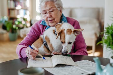 portrait of elderly woman solving sudoku puzzles at home, sitting in living room. sudoku as popular game for aging people, logical thinking, problem solving.