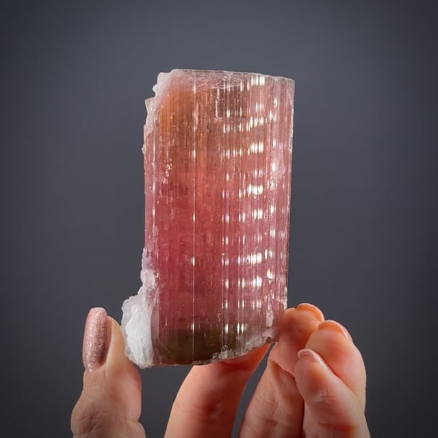 Tourmaline with Lepidolite and Albite var. Cleavelandite