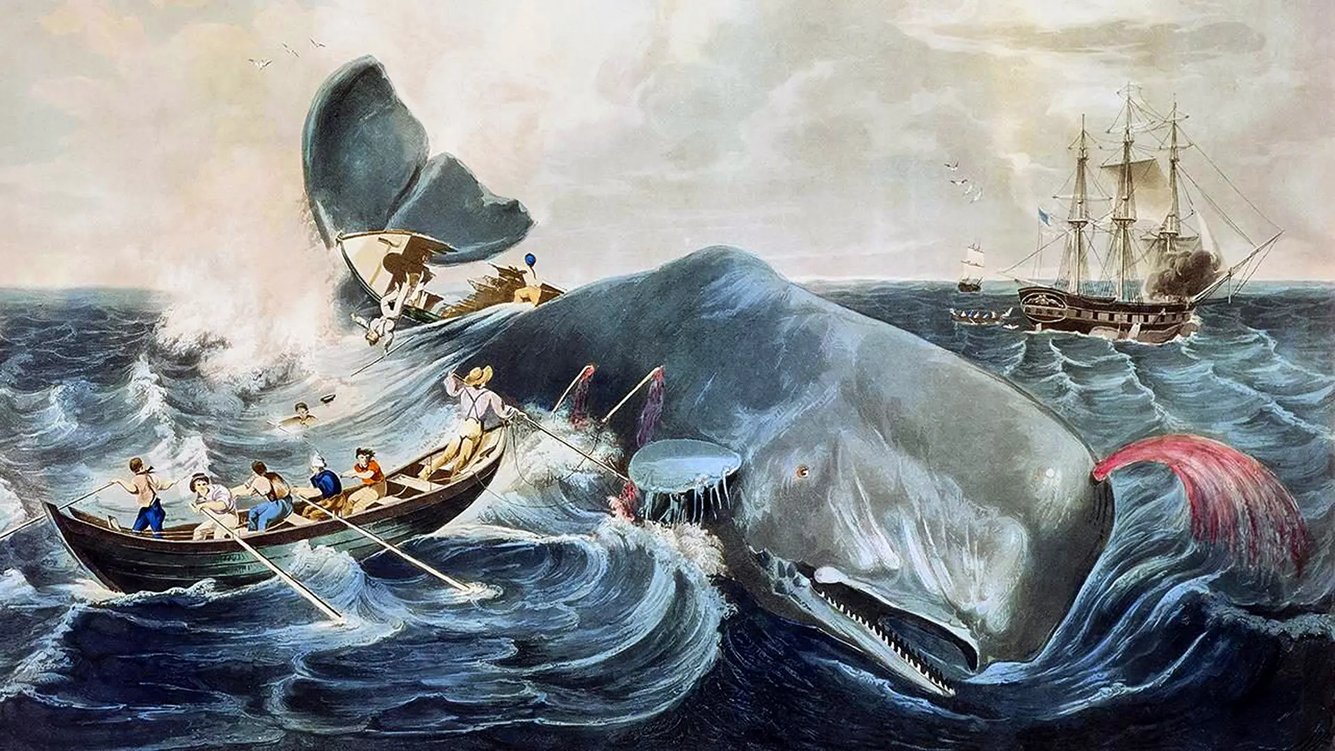 An illustration of Captain Ahab and his men attacking a whale in the ocean (Credit: Getty Images)