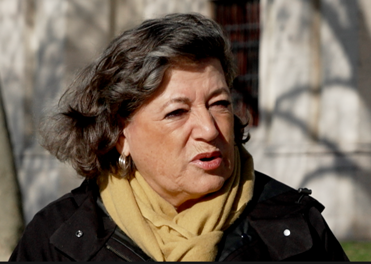 Former Portuguese politician Ana Gomes speaks to the BBC