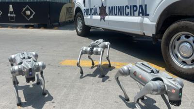 Three robodogs stand in the foreground with a Mexican police truck in the back.