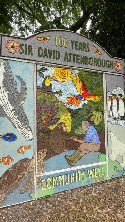 A well dressing in Etwall, Derbyshire inspired by Sir David Attenborough.