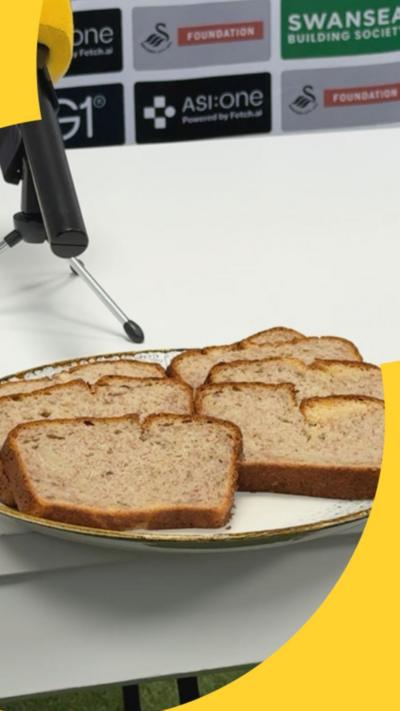 Cake on a plate at a media conference