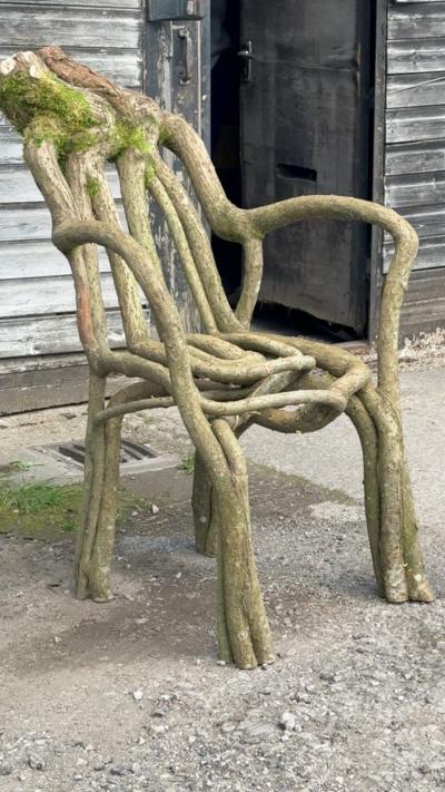 A chair grown from tree branches