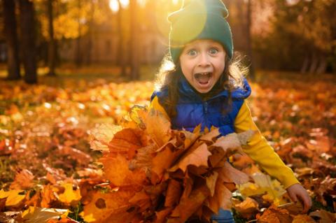 A child holding a bunch of leaves in the woods.
