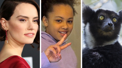 A composite image, featuring Daisy Ridley in a red dress on the left, in the centre Ellie-Mae Siame has tied back bushy dark hair. She is wearing a pink hooded top, smiles as she puts two of her fingers up in a peace sign. On the right a black and white lemur sits on a branch, surrounded by leaves.