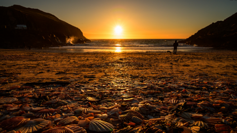 A sunrise over fanella beach
