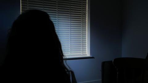 Image of the outline of a woman with long hair, sitting in front of a window with a venetian blind in a darkened room