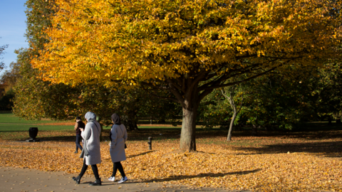 Two women walk along a path in a park in London surrounded by autumn leaves