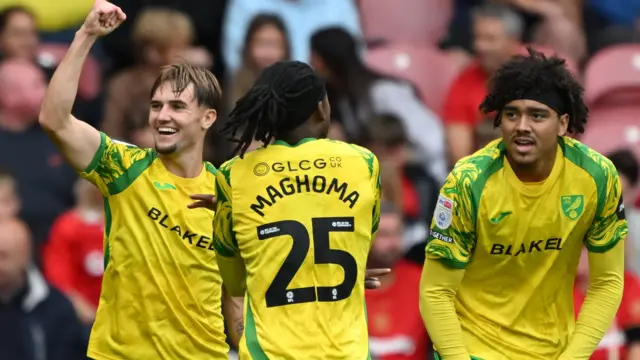 Norwich players, wearing their yellow shirt, celebrate a goal against Middlesbrough