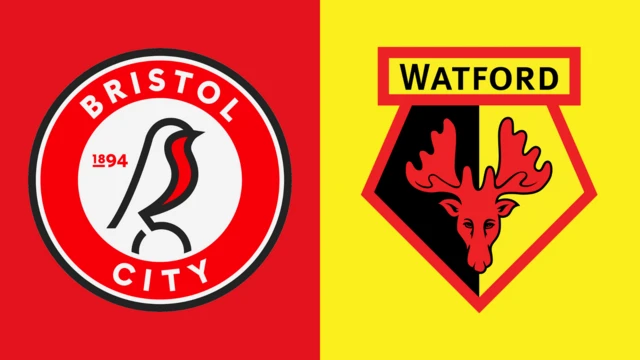Bristol City and Watford club badges side by side