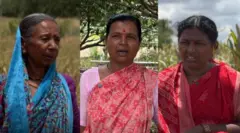दुष्काळ 