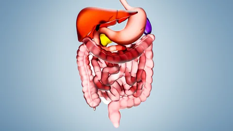 How a tiny chip can hold information from your gut