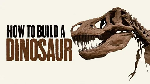 How to Build A Dinosaur