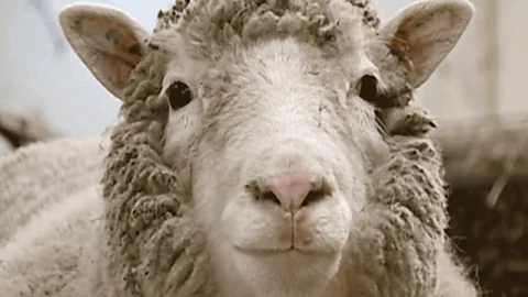 Dolly: The Sheep that Changed the World Season 1 Episode 1