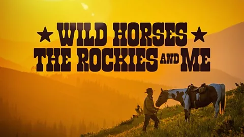 Wild Horses the Rockies and Me