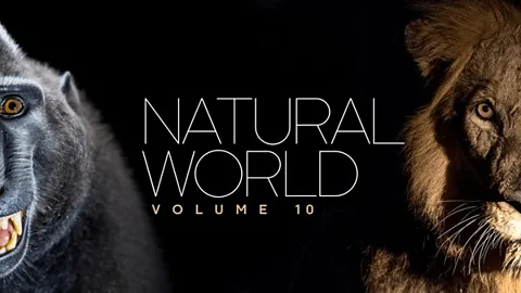 Natural World: Volume X