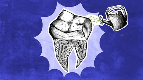Against a blue background, a hand-drawn picturs of a tooth, showing its roots, being watered with a watering can for flowers (Credit: BBC/ Serenity Strull)