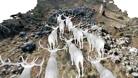 Inside one of Europe's oldest hunting megastructures