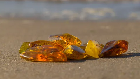 The unexpected ingredient hidden on Poland's shoreline
