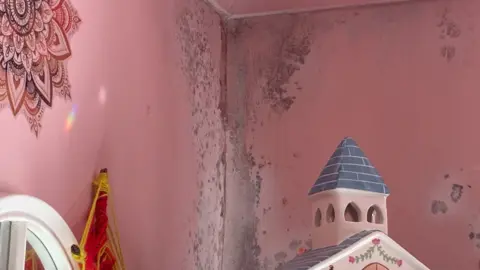 Kieran Molloy A pink room with mould on the walls
