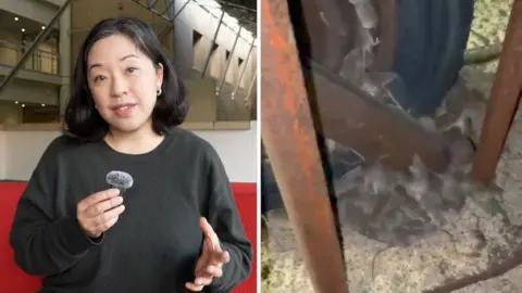 On the left, a woman with dark hair and a dark jumper sits on a red couch. On the right, a mass of small furry mice is visible.