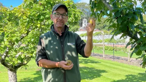 Simon Tetlow stands on a sunny lawn in an orchard, holding fruit picked from a tree. He is wearing a dark cap, glasses and a green fleece vest. Large leafy branches hang overhead, casting dappled shadows across the grass. Additional fruit trees and garden buildings can be seen in the background beneath a bright blue sky with scattered clouds.