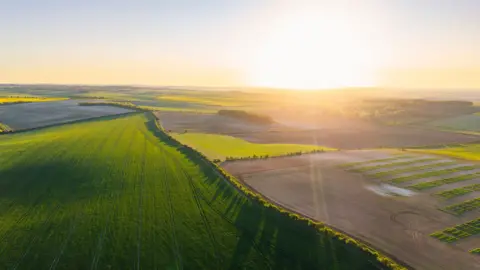 A drone view shows agricultural fields split by a line of trees, with long shadows being thrown across the field in the foreground by a beautiful sunset. Browner ploughed fields run alongside the back of the trees.