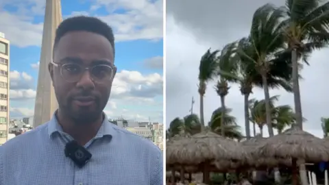 A split screen with Courtney Sargent on the left and trees blown by wind on the right.
