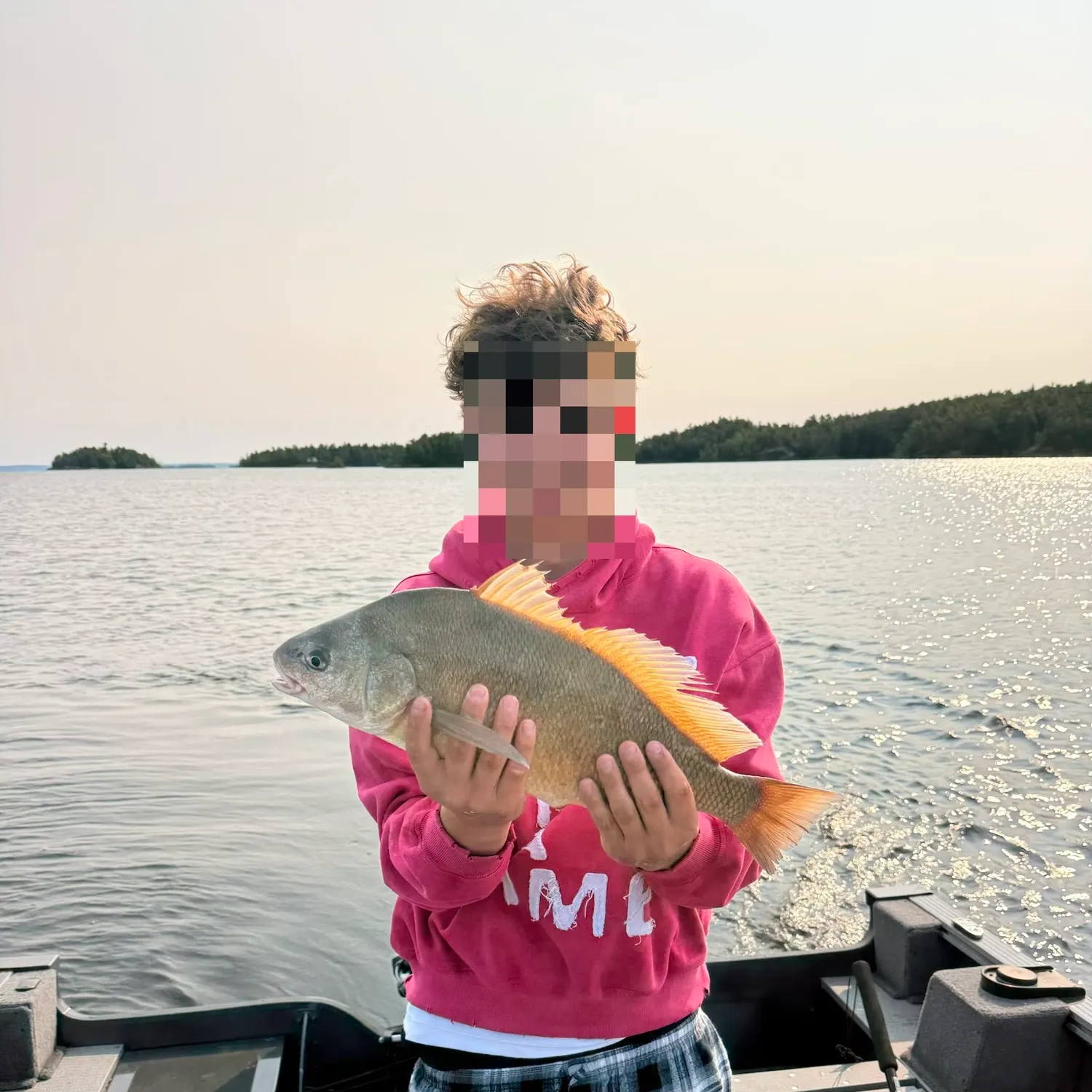 The most recent Freshwater drum catches on Fishbrain