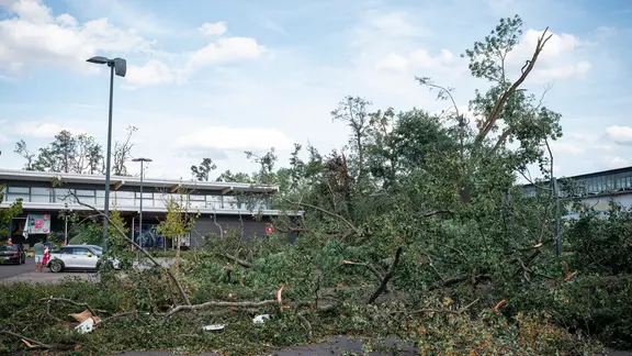 Baumteile und Äste von Bäumen auf einem Parkplatz eines Supermarkts nach Tornado in Ohrdruf.
