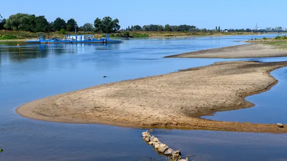 Niedrigwasser der Elbe (Bild: August 2026)