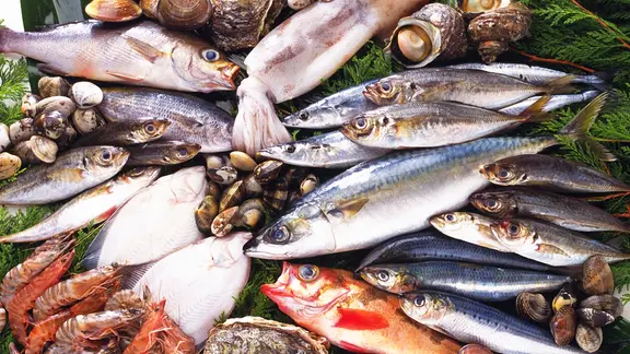 Viele verschiedene Fische und Meeresfrüchte liegen in einer Auslage.