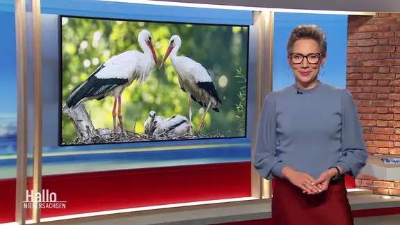 Christina von Saß moderiert.