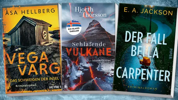 Cover:  Hjorth Thorsson, „Schlafende Vulkane / Vega Varg, „Das Schweigen der Insel“/ E.A. Jackson, „Der Fall Bella Carpenter“