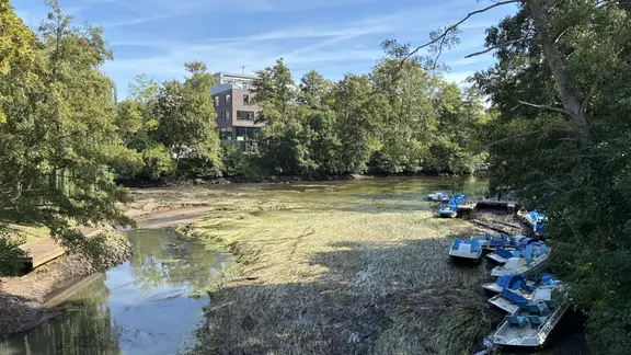 Der Fluss Ilmenau in Lüneburg wurde abgesenkt, auch um Müll zu entsorgen.