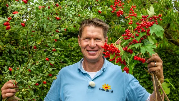 Gärtner Peter Rasch
