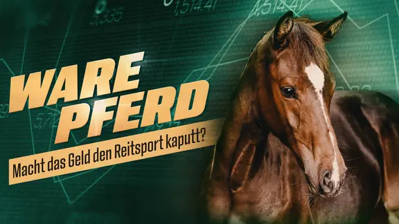 Sportclub Story: "Ware Pferd"
