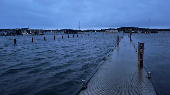 Ein hoher Wasserstand der Schlei in Schleswig.