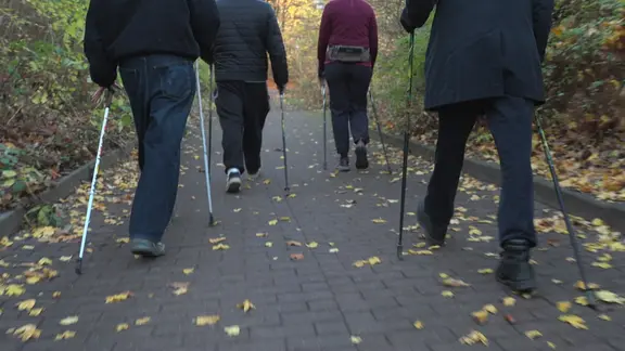 Mehrere Personen mit Walkingstöcken von hinten.
